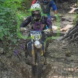 Meet your Posher, Camden